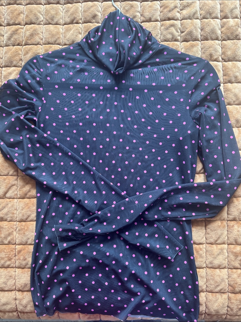 Mesh Turtleneck Top with Pink Polka Dots